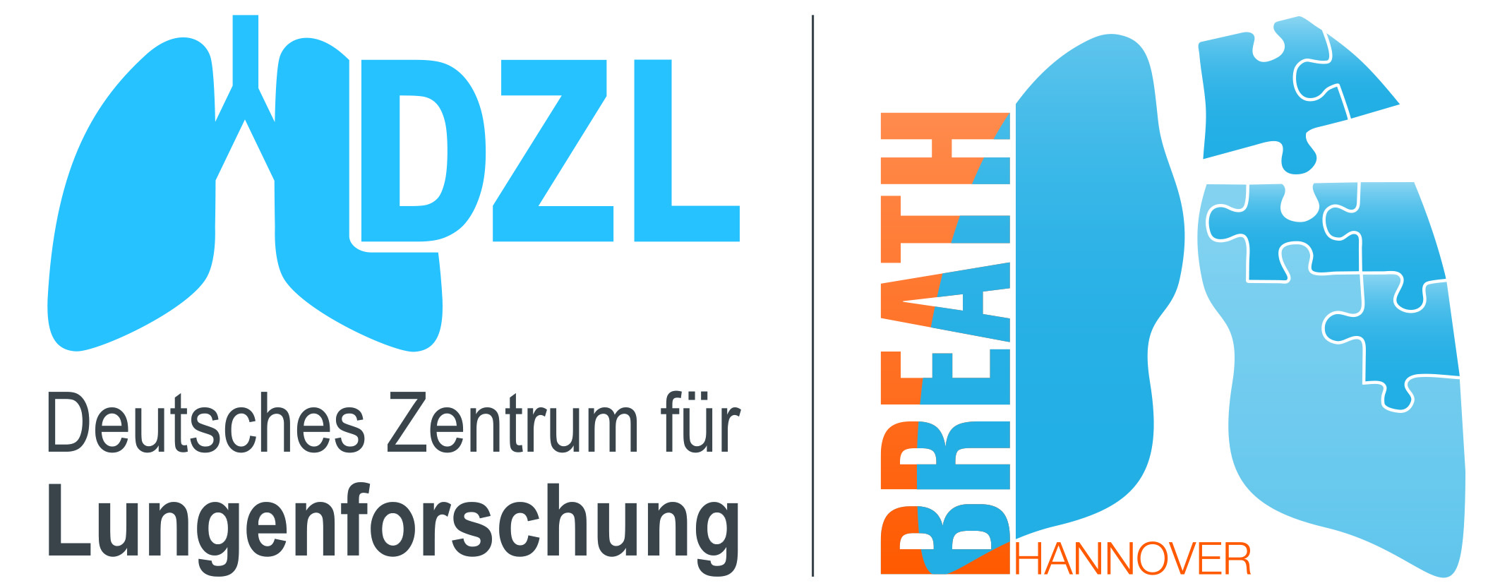 DZL Logo